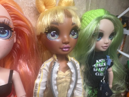 MGA Rainbow High Poppy Ruby Sunny Skyler Jade Hunter Violet Willow Dolls LOT - Picture 6 of 14