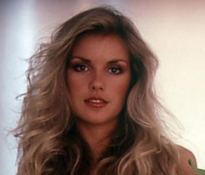 Terri Welles 10 Different 4x6 Glossy Photos Lot Of 10 Photos FREE Ship