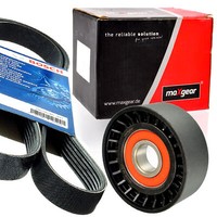Bosch 6PK1050 Keilrippenriemen + Rolle FüR Audi Seat Skoda Octavia VW Golf