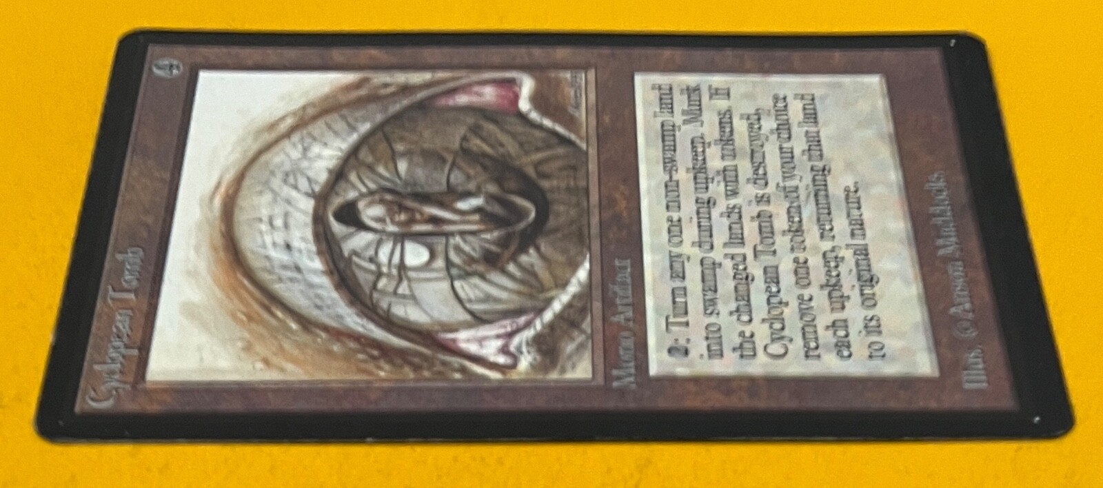 Picture 6 of 11