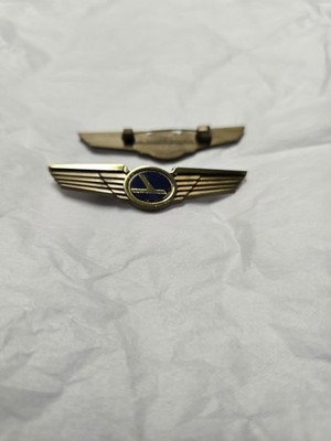 Vintage Eastern Airlines Kids Plastic Pin On Wings  New