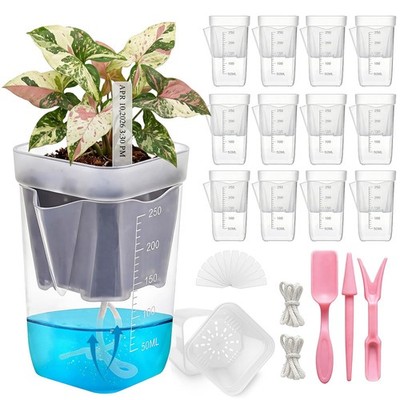 12 Mini Clear Self-Watering Pots for Indoor Plants, Drainage & Hydroponics