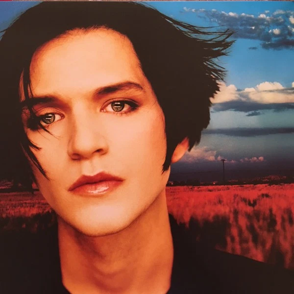 Placebo - Black Market Music (LP, Album, RE, RM, RP, Gat) (Mint (M)) - Image 2 of 4