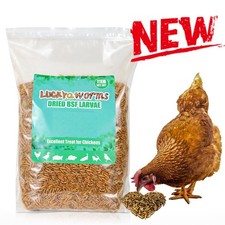 11lbs Non-GMO Dried Black Soldier Fly Larvae Mealworms 50 x Calcium Chicken Feed