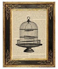 Round Birdcage Art Print on Vintage Book Page Vintage Bird Cage Home Decor Gifts