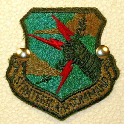 US Air Force Strategic Air Command SAC Crest Badge Patch Subdued