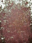 Bild 2 von 6