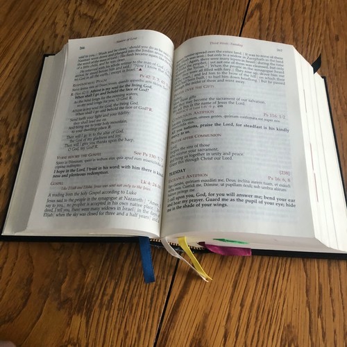 Daily Roman Missal: Complete Readings in One Volume Hardcover 2003 - Picture 13 of 18