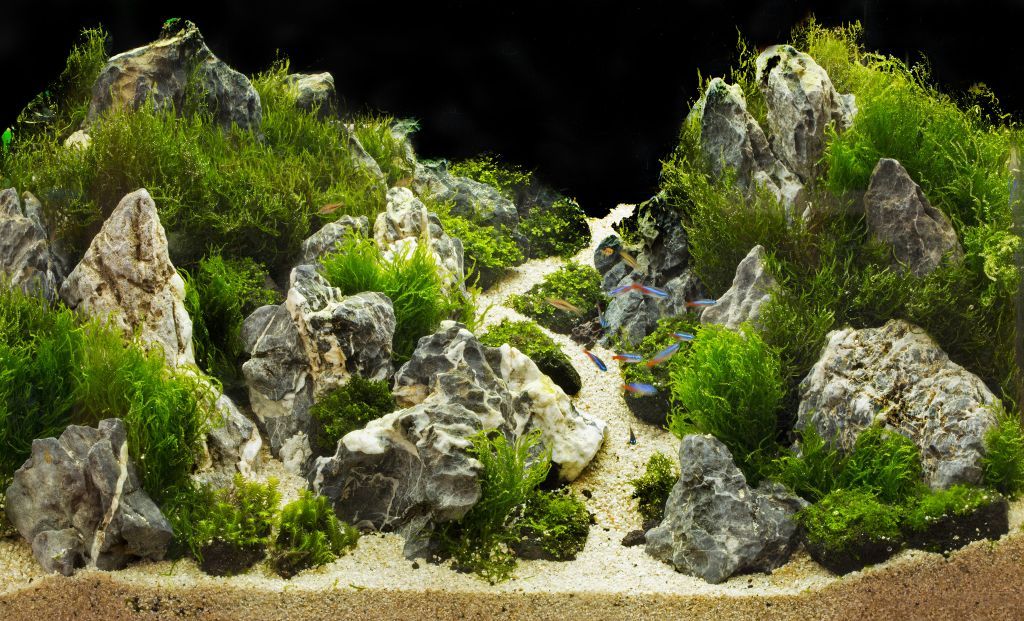 Fish Tank Rocks Big Fish Aquarium Rocks