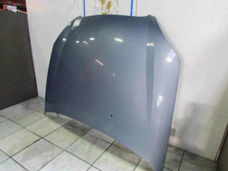 00 01 02 03 04 05 06 07 capó FORD TAURUS Foto 2 de 4