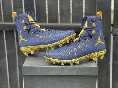 Size 15 Michigan Wolverines Nike Air 