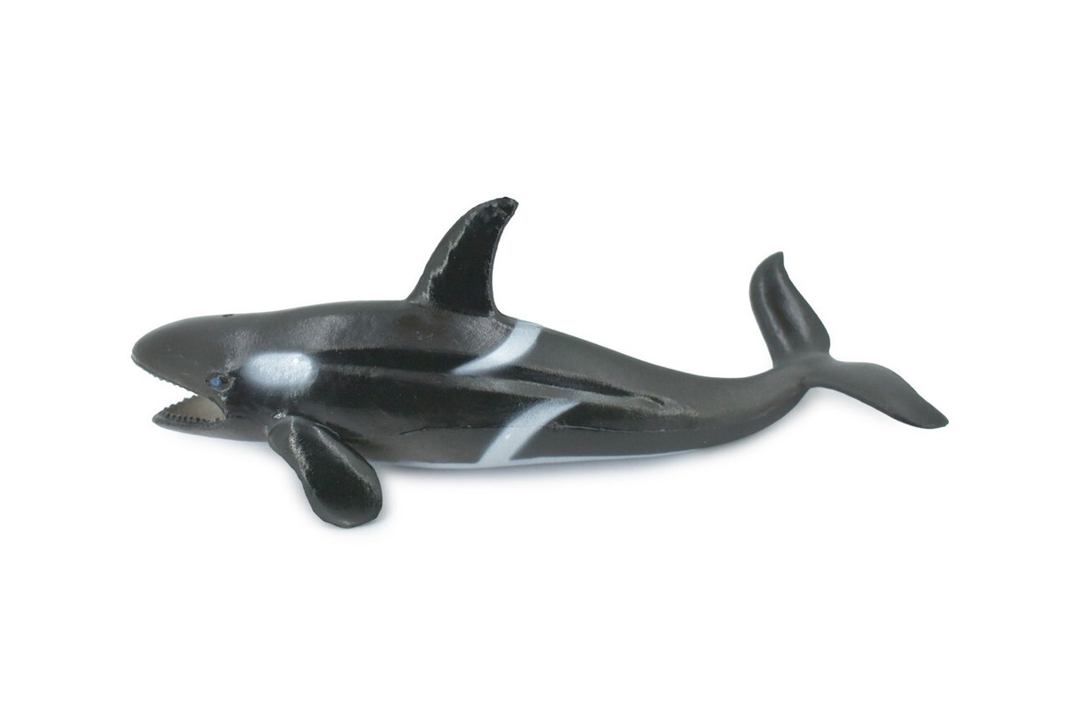 Orca, Killer Whale, Plastic Realistic Figure Model Toy Kids Gift 7