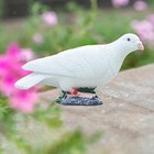 Bild 52 von 64