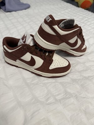 NEVER WORN NIKE DUNKS WOMEN SIZE 6 BROWN