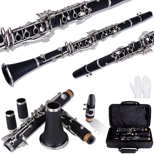 Clarinete BEGGINER YCL-255 Bb 17 llaves Sib klarnet/ABS material del cuerpo clarinete Foto 4 de 4