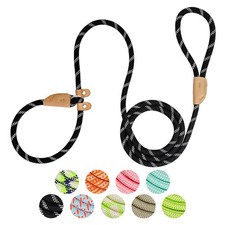 Slip Lead Rope Dog Leash Heavy Duty for Training 6 Ft X 3/8 Inch Nylon