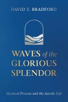 David T. Bradford | Waves Of The Glorious Splendor | Taschenbuch | Englisch