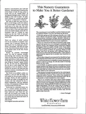 White Flower Farm Plantsmen Better Gardener Original Vintage Print Ad