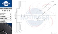 Rotinger 2X Bremsscheibe Vorne Ø300Mm FüR Ford Kuga II DM2 1.5 Ecoboost 1.6