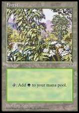 Forest C - Heavy Play MTG Mirage