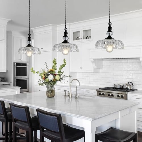 Glass Pendant Light Fixture Black Modern Adjustable Chandelier Hanging ...