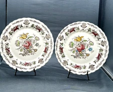 Myott Staffordshire Bouquet Dinner Plates - Set of 2 - Vintage - 9 7/8" Dia EUC
