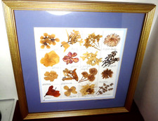 Ohio BOTANICAL FOLK ART dried flowers Signed- LISA MERRICK STUDIO - NORTON, OHIO