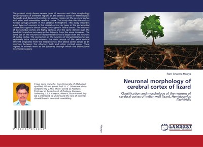 Ram Chandra Maurya | Neuronal morphology of cerebral cortex of lizard | Buch