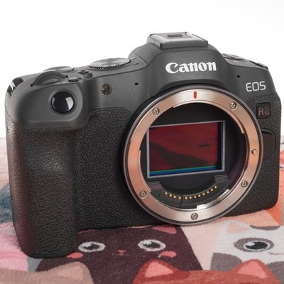 Canon EOS R8 24.2 MP Mirrorless Camera Body