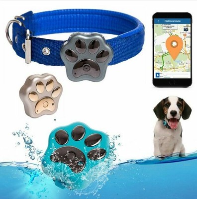 pet tracking device