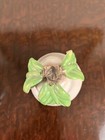 Foto 7 di 11