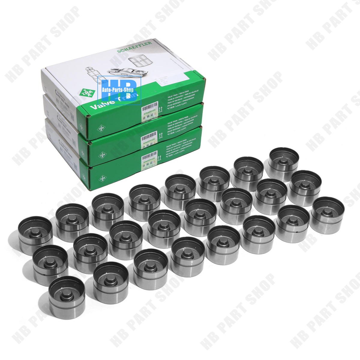 24 Valve Hydraulic Lifters for 95-06 BMW 323 325 328 330 525 530