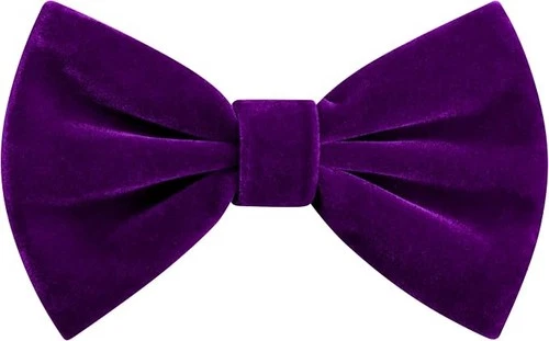 Branduce Purple Velvet Bow Ties for Men Adjustable Pre-Tie Bowtie - product listing photo