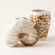 Springs Global Ceramic Seashell Toothbrush Holder Tumbler Bathroom Set Beach