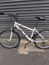 eBay Auction Picture