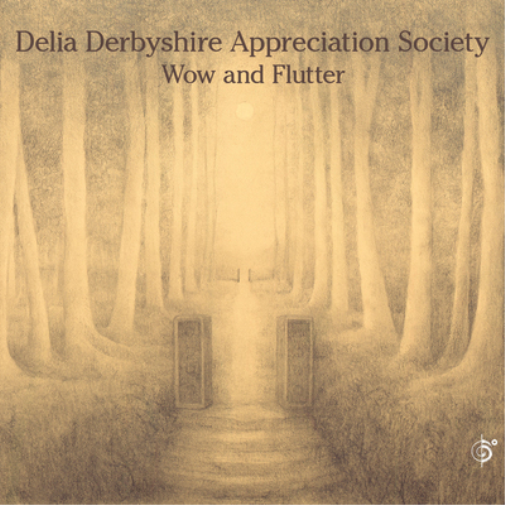 Delia Derbyshire Appreciation Society Wow and Flutter (CD) Album
