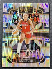 Didi Richards 2024 Panini Select WNBA CONCOURSE SILVER FLASH PRIZM 59 MYSTICS