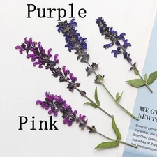12PCS Pressed Dried Tiny Flowers with Stem, Leaves, Pink, Purple FSS98