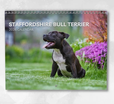 BOYCE PUBLISHING Staffordshire Bull Terrier Calendar 2026: Monthly Wall Calendar with Notes