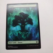 Forest - 254 - Theros Beyond Death (THB) MTG