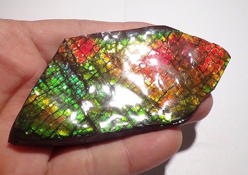 105 Gramm. GEM Sammler Ammolite /Drachenschuppe Rot Grün-Golden-Orange   + VIDEO - Bild 5 von 9