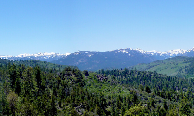 Picture 3 of 6