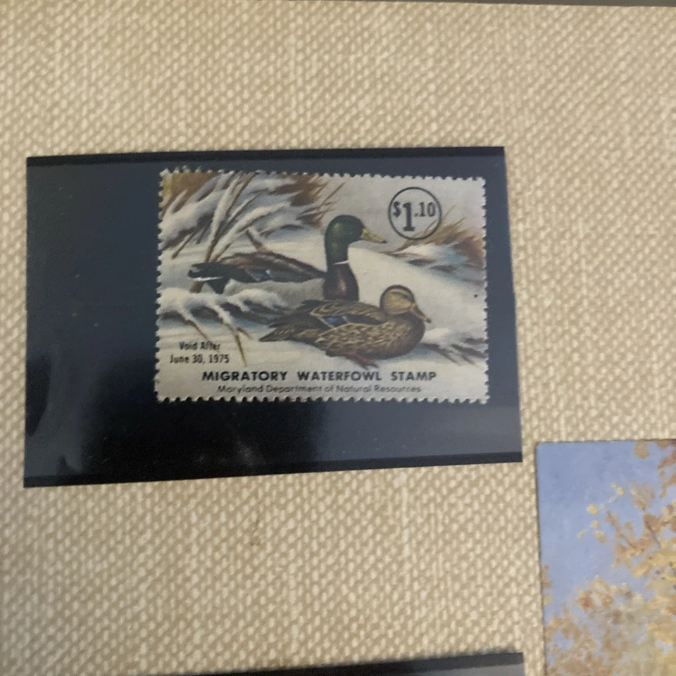 Maryland Migratory Waterflow Stamp Display - Image 2 of 4