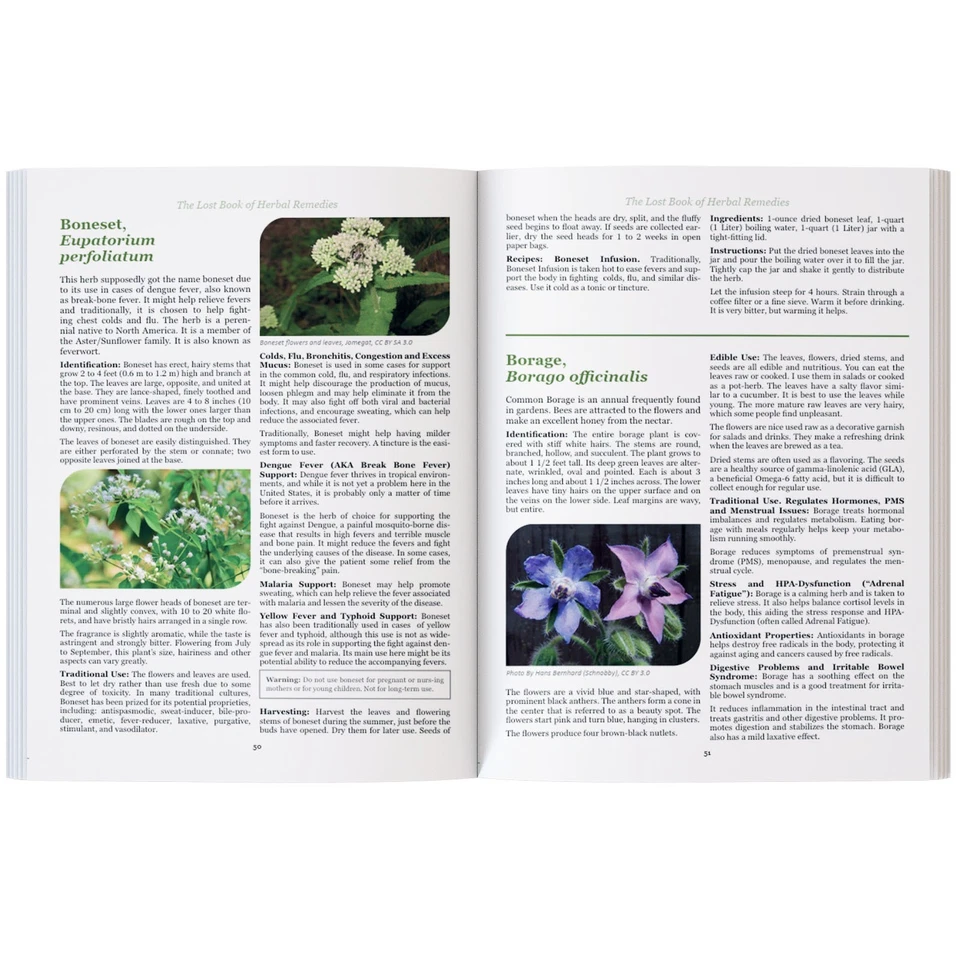 The Lost Book of Herbal Remedies (paperback with color pictures) — 第 4/4 张图片