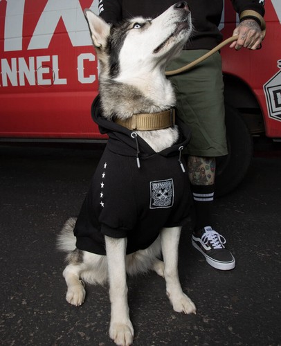 Dixxon Flannel Company Dog Hoodie Sweater Fur Family Black & Gray Size Large - Picture 2 of 2