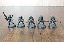 Warhammer 40k Eldar Aeldari Guardians Defenders Squad (5) Painted Plastic
