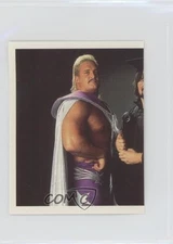 1992 Merlin WWF Album stickers Beverly Brothers The Genius #118