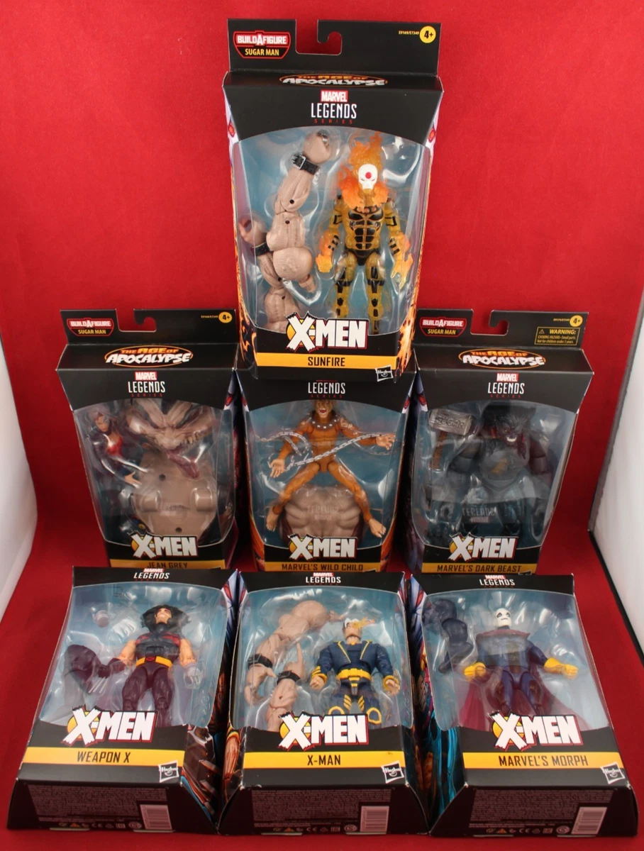 Marvel Legends Action Figure Beast Comic Book Heroes Action
