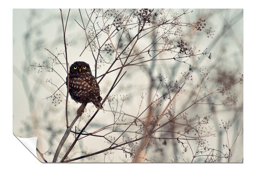 Autumn Owl In Tree Animal Wildlife Artistic Poster Wall Art Home Decor - Picture 1 of 4