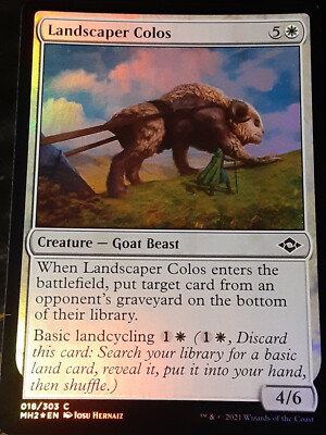 Landscaper Colos FOIL , Modern Horizons 2 , NM , MTG, FREE SHIPPING